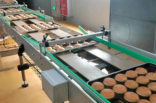 囍——恭祝四川食品厂十万级净化车间成功投产，迈向绿色健康新纪元